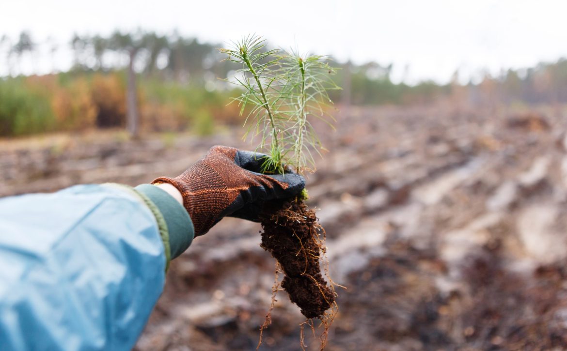 Land restoration